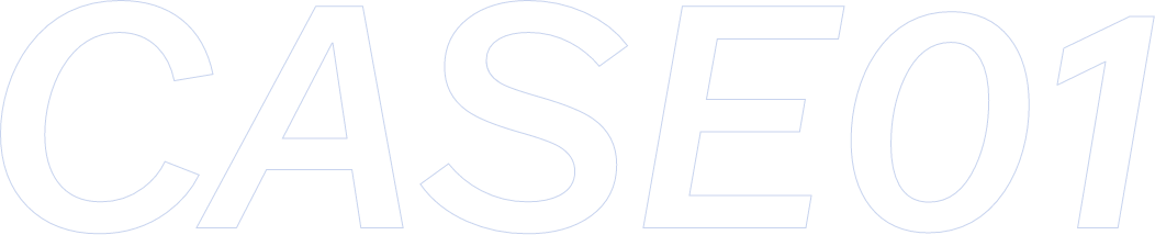 ケース1
